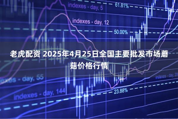 老虎配资 2025年4月25日全国主要批发市场蘑菇价格行情