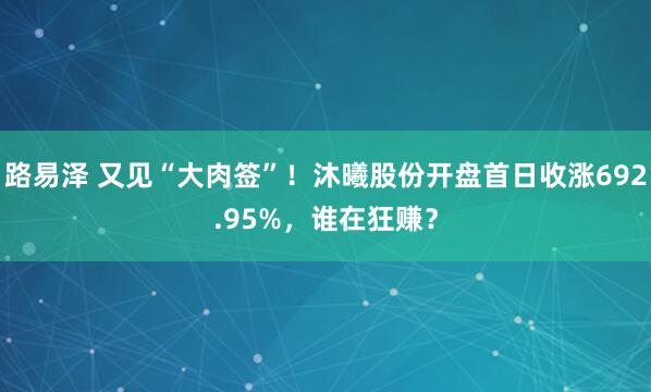 路易泽 又见“大肉签”！沐曦股份开盘首日收涨692.95%，谁在狂赚？