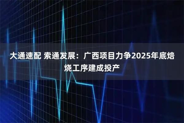 大通速配 索通发展：广西项目力争2025年底焙烧工序建成投产