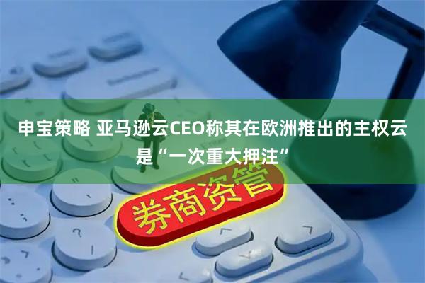 申宝策略 亚马逊云CEO称其在欧洲推出的主权云是“一次重大押注”