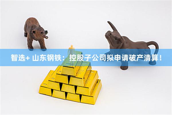 智选+ 山东钢铁:控股子公司拟申请破产清算!